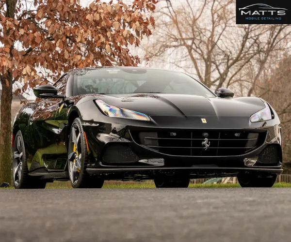 view of a dark sports car post-paint correction